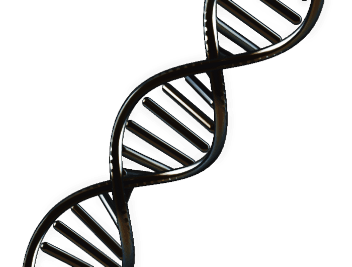 3D rendering of a dark metallic DNA double helix representing healthcare science and credentialing